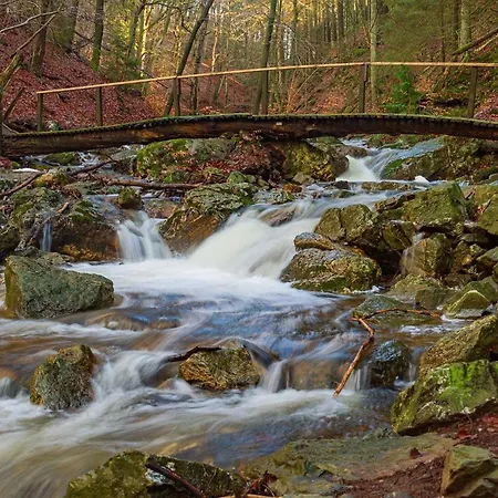 アパート Greenhouse サルト・レ・スパ