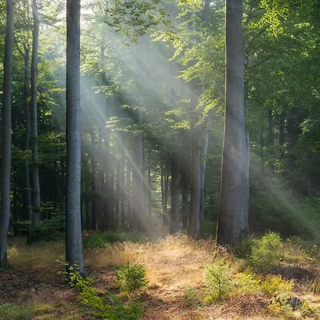 Greenhouse アパート *