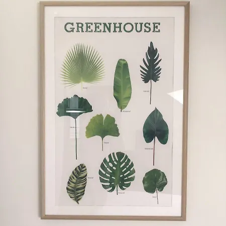 Greenhouse * סארט - לה - ספא